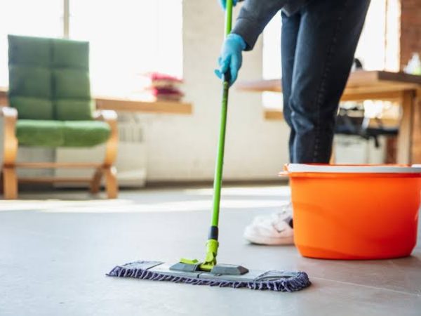 Regular House Cleaning Services Regular House Cleaning Services